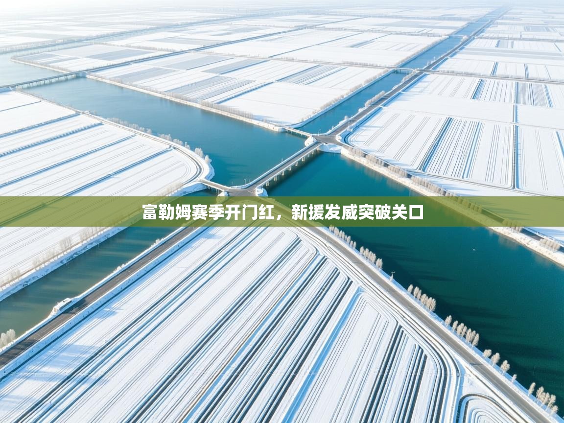 富勒姆赛季开门红，新援发威突破关口  第1张