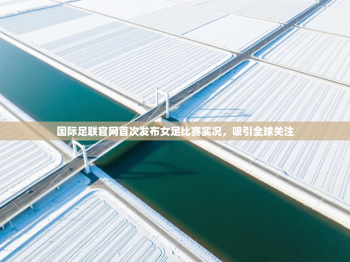 国际足联官网首次发布女足比赛实况,吸引全球关注 第2张
