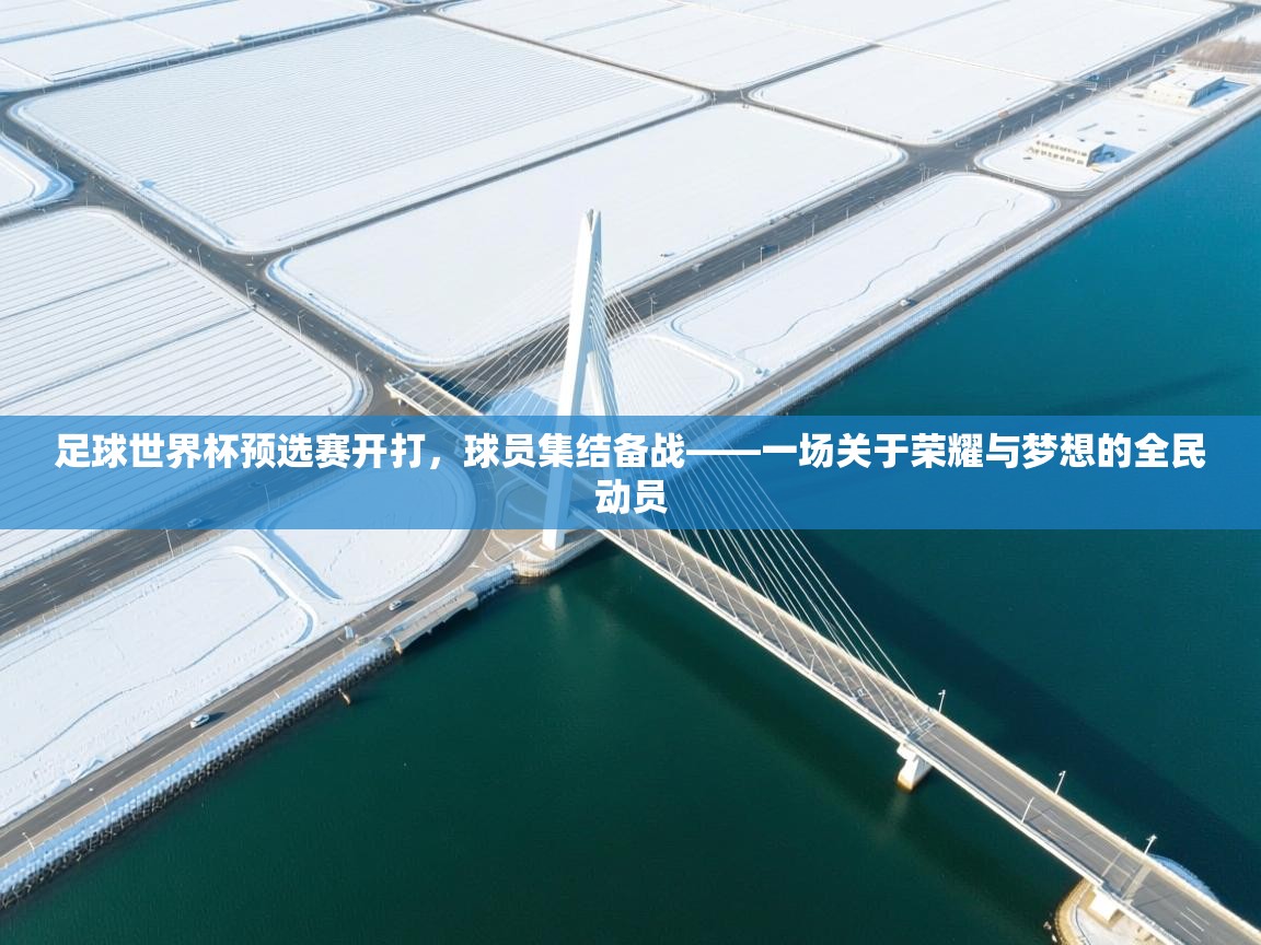 足球世界杯预选赛开打,球员集结备战——一场关于荣耀与梦想的全民动员 第1张